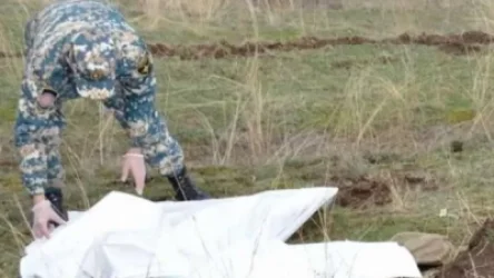 Մինչ օրս հայտնաբերվել և տարհանվել է 1678 աճյուն