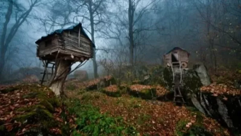 «Լաստիվեր» տանող ճանապարհին քաղաքացին վնասել է