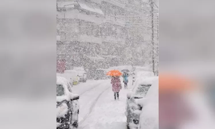 Սա կոչվում է ձյան հեղեղ. Սուրենյան