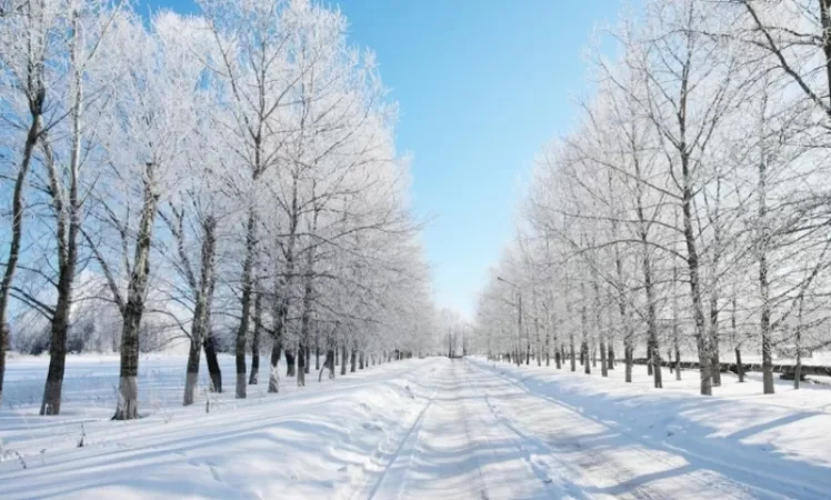 Այսօր ձյան տեքով տեղումները սկսվում են. ի՞նչ են կանխատեսում օդերևութաբանները