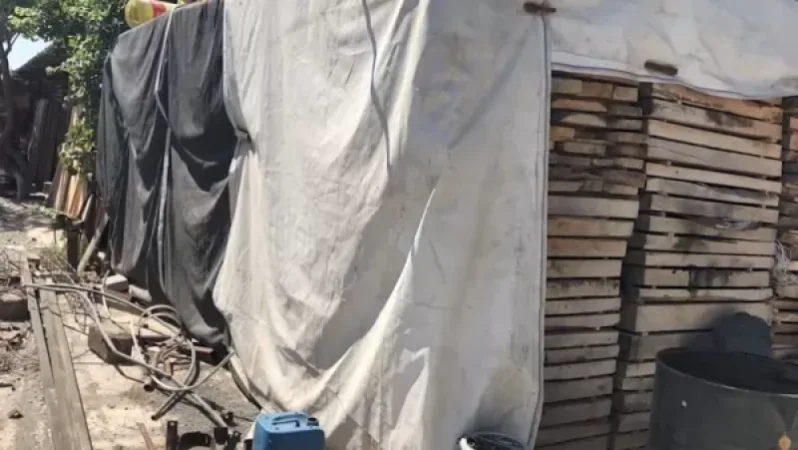 Վաղարշապատի արտադրամասերում հայտնաբերվել է մոտ 195 խմ ապօրինի տախտակ