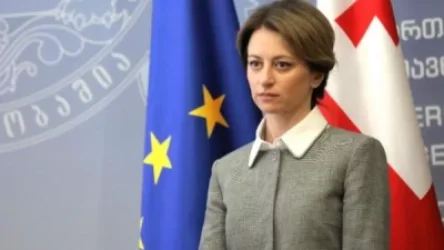 Վրաստանը դեռևս չի ցանկանում բացել սահմաններն այլ երկրների համար. Տիկարաձե