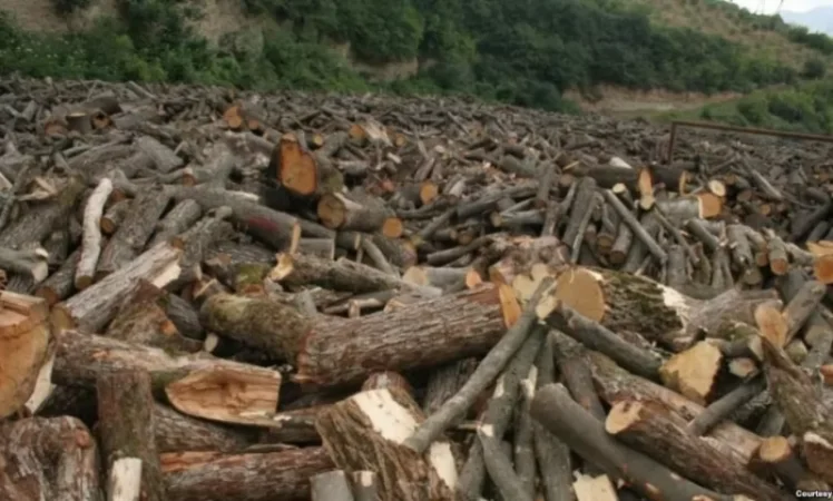 Չարաշահումներ՝ բնապահպանության պետական տեսչությունում․ մանրամասներ