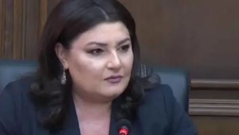 Քննադատությունից օրեր անց քրեական գործեր հարուցվեցին Ծառուկյանի դեմ. Իվետա Տոնոյան