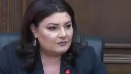 Քննադատությունից օրեր անց քրեական գործեր հարուցվեցին Ծառուկյանի դեմ. Իվետա Տոնոյան