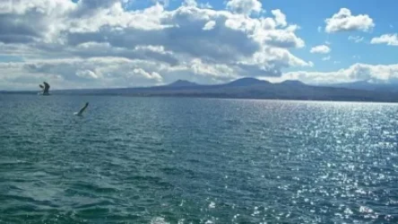 Սևանա լճից ձկնորսության թույլատրելի քանակությունը կլինի 300 տոննա