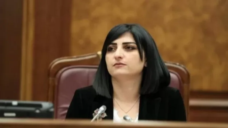 Քանի՞ ծառայողական քննություններ են սկսվել ոստիկանների գործողությունների վերաբերյալ․ Թովմասյանը մանրամասնում է