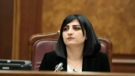 Քանի՞ ծառայողական քննություններ են սկսվել ոստիկանների գործողությունների վերաբերյալ․ Թովմասյանը մանրամասնում է