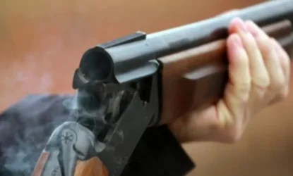 Շնագայլի վրա կրակելու պահին գնդակը պատահաբար դիպել է իր 11-ամյա որդու գլխին