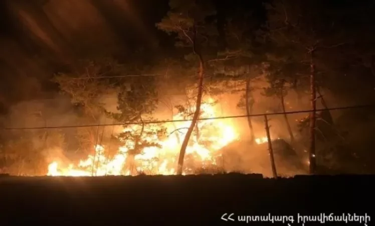 VIDEO: Large Fire That Erupted in Lori Province Yesterday Contained This Morning