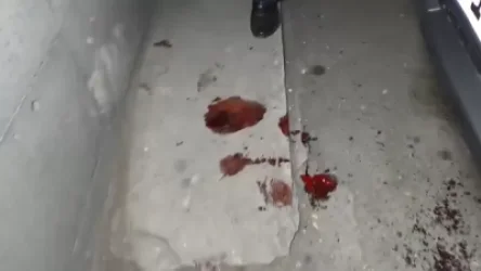 Զենքի գործադրմամբ խուլիգանություն Երեւանում. հայհոյախառն վեճը վերածվել էր ծեծկռտուքի