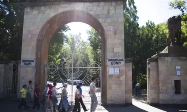 Բողոքի ակցիա կենդանաբանական այգու դիմաց. պահանջը տնօրենի հրաժարականն է