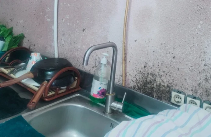 ԼՈՒՍԱՆԿԱՐՆԵՐ. Կասեցվել է հանրային սննդի օբյեկտի արտադրական գործունեությունը