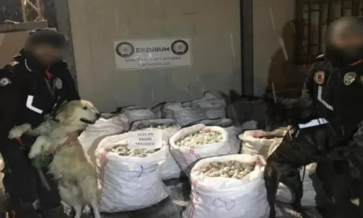 Թուրքիայում հայտնաբերվել ու առգրավվել է աննախադեպ ծավալի թմրանյութ