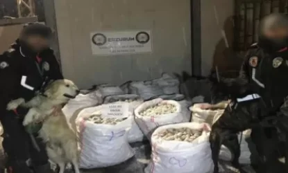 Թուրքիայում հայտնաբերվել ու առգրավվել է աննախադեպ ծավալի թմրանյութ