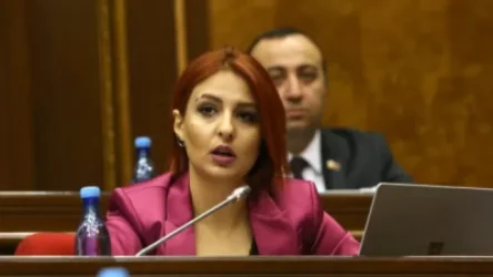 Գյուղական խանութներում ցույց էին տալիս «նիսյա»-ի հաստափոր տետրերը. Անի Սամսոնյան