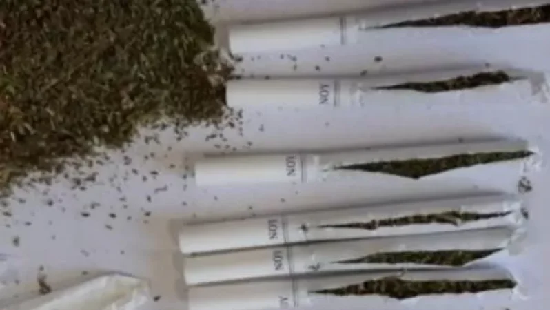 Ծխախոտների 40 գլանակների ուսումնասիրության արդյունքում հայտնաբերվել են «շոկոլադկա» թմրամիջոցին նմանվող զանգված