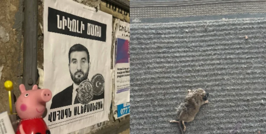 Սատկած մուկ ԱԺ պատգամավորի դռան դիմաց