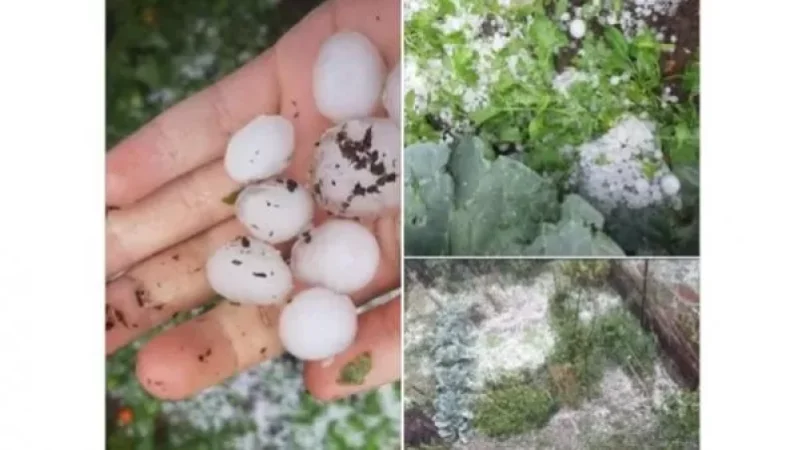 Կարկուտը փչացրել է Տեղ գյուղի բերքն ու բարիքը