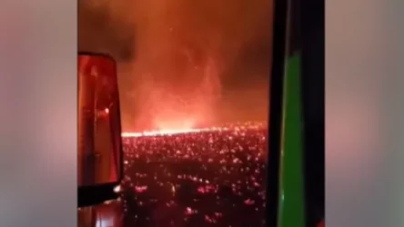 ՏԵՍԱՆՅՈՒԹ. Անտառային հրդեհների հետևանքով Կալիֆորնիայում ձևավորվել է կրակե տորնադո. Գագիկ Սուրենյան