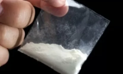 Ամուսինները մեղադրվում են թմրամիջոցի մաքսանենգության, ապօրինի շրջանառության համար