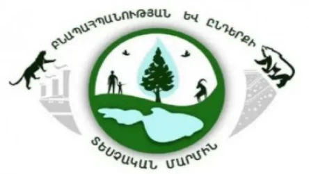 Շրջակա միջավայրին հասցվել է ավելի քան 12 մլն դրամի վնաս