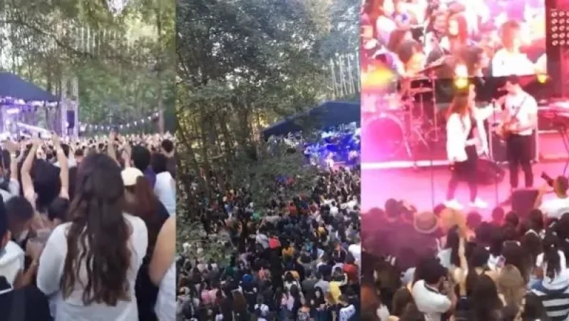 Արդյոք կլինե՞ն տուգանքներ Դիլիջանում տեղի ունեցած Yerevan Music Night միջոցառումից հետո. պարզաբանում է Մանե Գևորգյանը