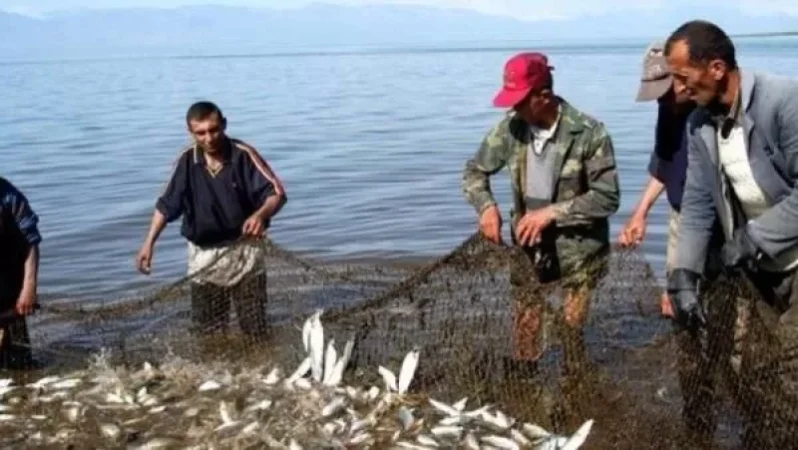 Սևանա լճում սիգի արդյունագործական որսի հայտերի ընդունման վերջնաժամկետը սեպտեմբերի 16-ն է