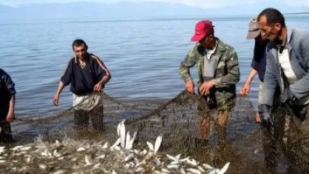 Սևանա լճում սիգի արդյունագործական որսի հայտերի ընդունման վերջնաժամկետը սեպտեմբերի 16-ն է