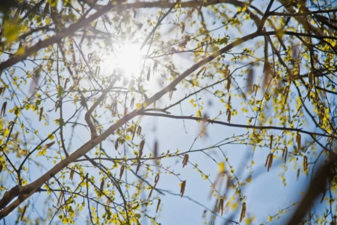 Հայաստանում ապրիլին գրանցվել են նոր ջերմաստիճանային ռեկորդներ