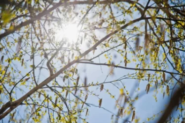 Հայաստանում ապրիլին գրանցվել են նոր ջերմաստիճանային ռեկորդներ