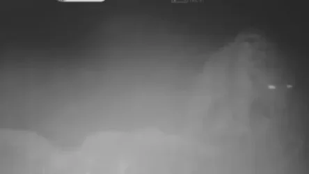 ՏԵՍԱՆՅՈՒԹ. Այս անգամ հովազն ինքն է գտել թակարդ-տեսախցիկը