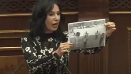 ՏԵՍԱՆՅՈՒԹ. Երեխաները ռազմագերիների նման կանգնել են, որպեսզի ուսուցիչը նրանց ջերմաչափի. Նաիրա Զոհրաբյան