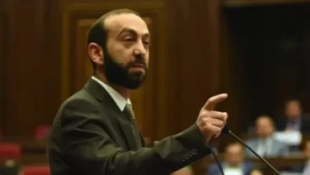 ՏԵՍԱՆՅՈՒԹ. Ես ոչ մեկի չեմ պատրաստվում խեղդել, Աստծո սիրուն. Արարատ Միրզոյանը՝ Անի Սամսոնյանին