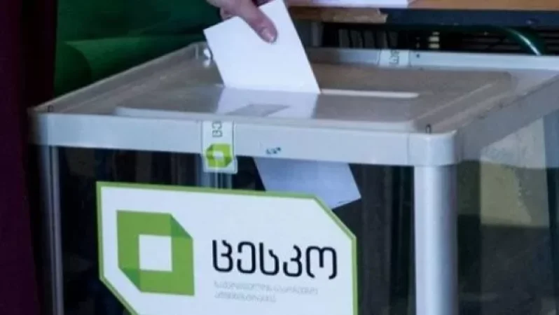 Վրաստանի խորհրդարանական ընտրություններում ջերմող քաղաքացիների ընտրության իրավունքը չի սահմանափակվի. ԿԸՀ