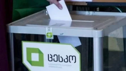 Վրաստանի խորհրդարանական ընտրություններում ջերմող քաղաքացիների ընտրության իրավունքը չի սահմանափակվի. ԿԸՀ