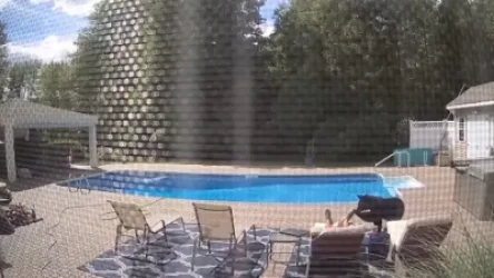 ՏԵՍԱՆՅՈՒԹ. Հետաքրքրասեր արջը հրում է տան բակում քնած տղամարդուն