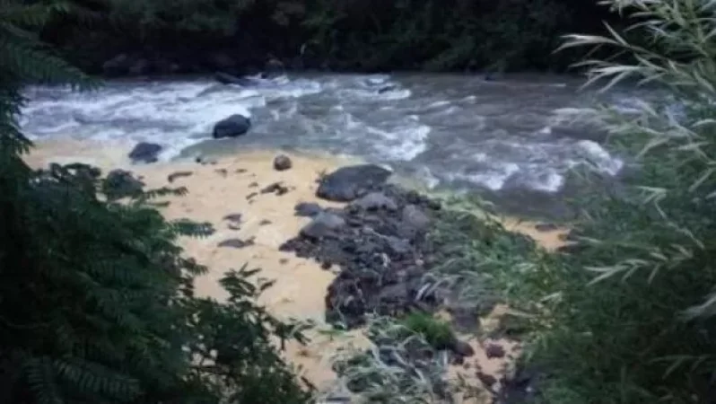 Դեբեդ գետի վտակը կրկին դեղնադարչնագույն երանգ է ստացել