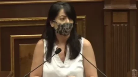 Գուցե Ծառուկյանը միանա իմ նախաձեռնությանը՝ տեսնենք 132 պատգամավորները կանցնե՞ն այդ թեստը. «Իմ քայլի» պատգամավոր