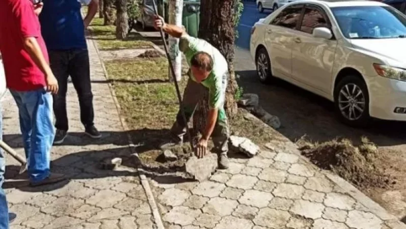 Շենգավիթ վարչական շրջանում մայթեզրերի սալիկները փոխարինվում են սիզամարգով