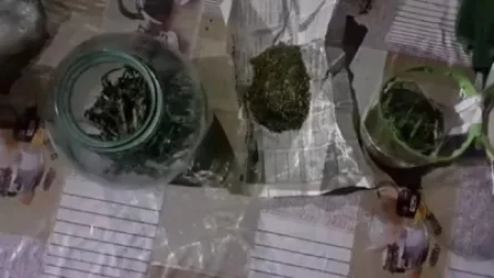 Ոստիկանները Մասիսում խոշոր չափերի թմրանյութ են հայտնաբերել