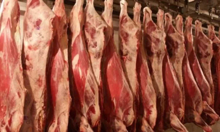 Կասեցվել է ավտոտնակից մսեղիքի վաճառքը