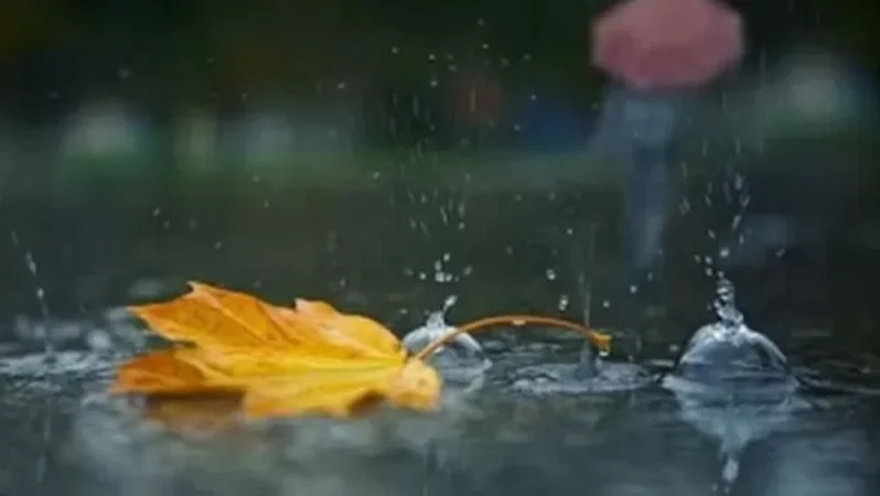 Ի՞նչ եղանակ է սպասվում նոյեմբերին