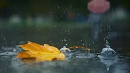 Ի՞նչ եղանակ է սպասվում նոյեմբերին