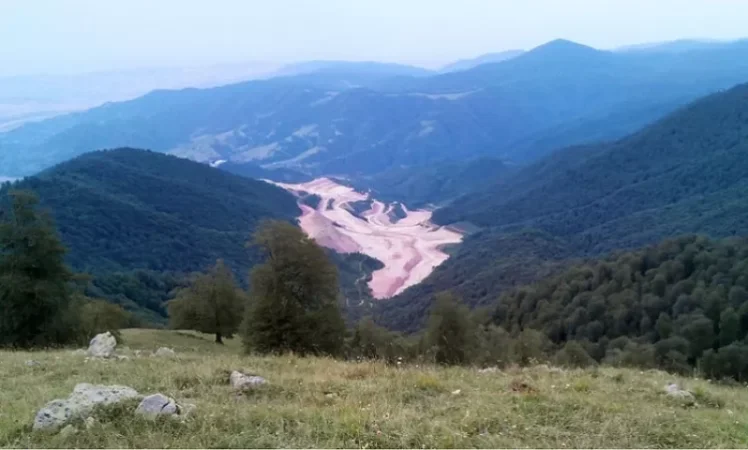 Հանրային բնապահպանական դատարանը կքննի Թեղուտի գործը