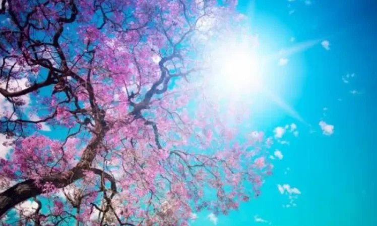 Օդի ջերմաստիճանը կբարձրանա