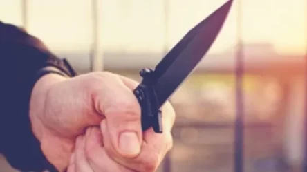 Երևանում եղբայրների են դանակահարել. shamshyan. com