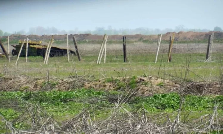 Հայաստանի սահմանը խախտած անձը հոգեկան հիվանդ է. Բաքուն հայտարարություն է տարածել