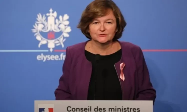 Ֆրանսիացի նախարարը կատվին Brexit է անվանել կենդանու անորոշության պատճառով