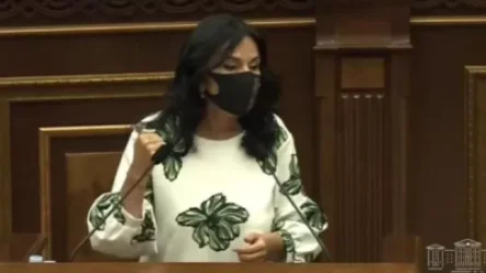 Չպետք է ունքը շտկելու փոխարեն աչքը հանենք, ունենալու ենք սոցիալական աշխատողի խնդիր. Զոհրաբյան